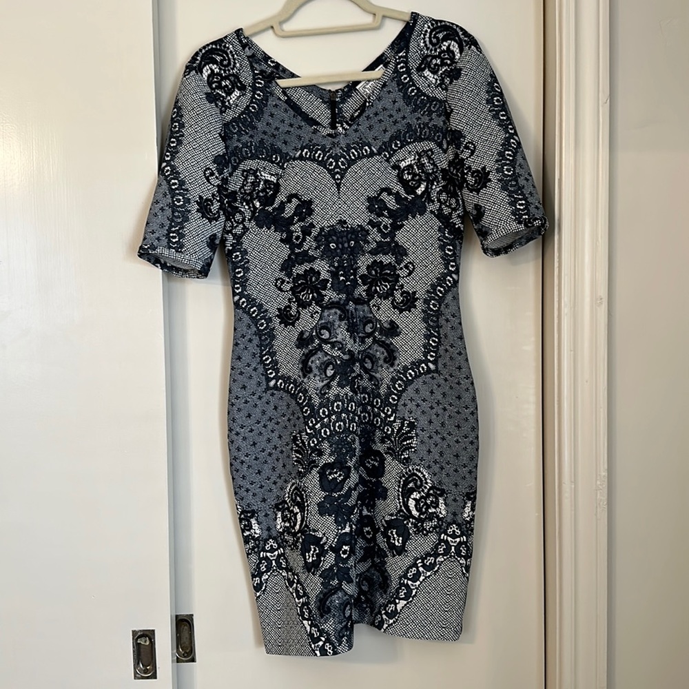 Baraschi Anthropologie Dress